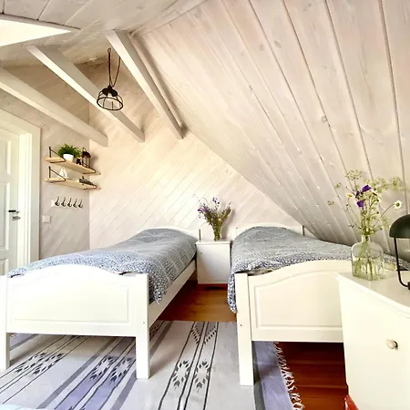 Art And Design Loghouse In Muhu Island